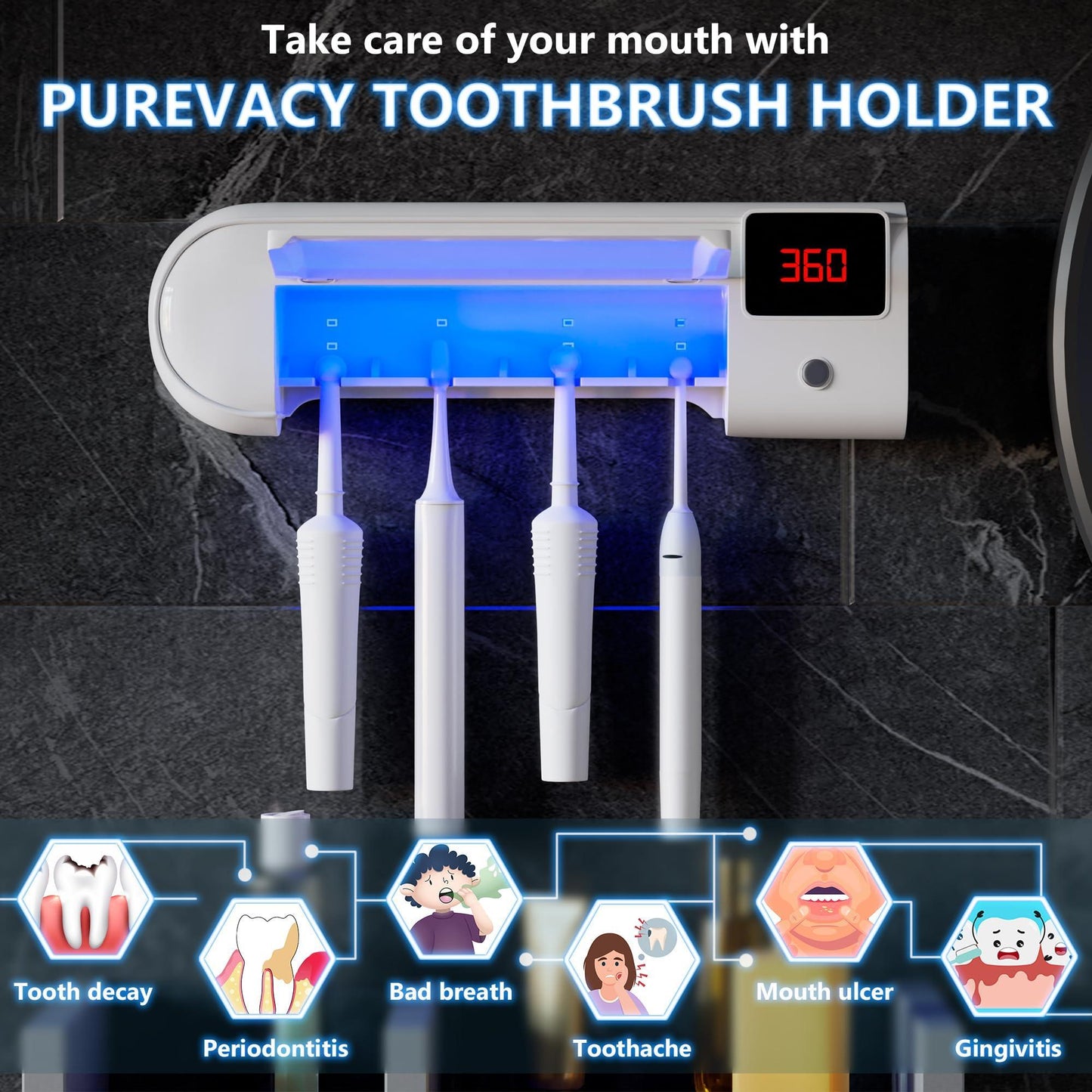 Wall Mounted Toothbrush Holder