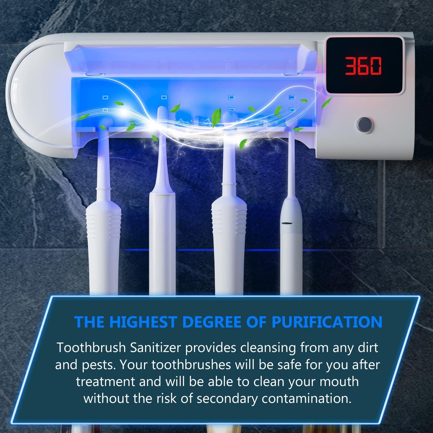 Wall Mounted Toothbrush Holder