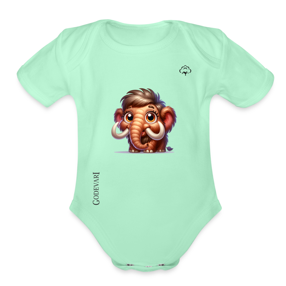 Organic Short Sleeve Baby Bodysuit - light mint